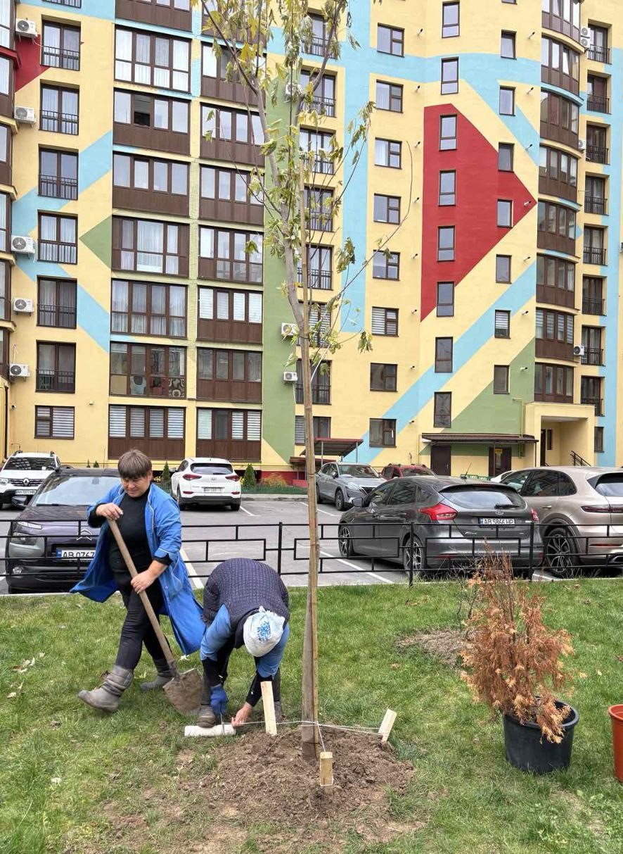 У межах осінньої кампанії з висадки дерев озеленили близько сотні дворів Вінниці 
