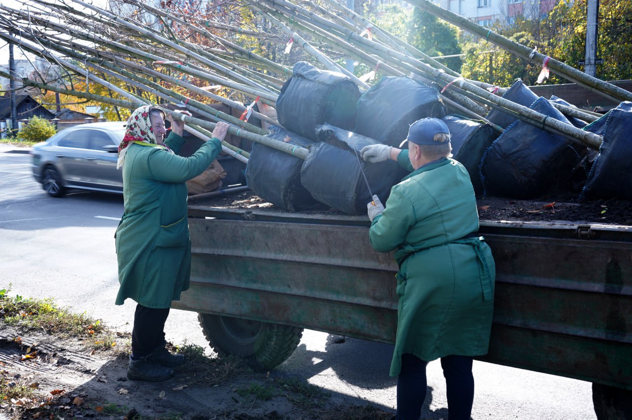 У Вінниці стартувала осіння висадка дерев та кущів