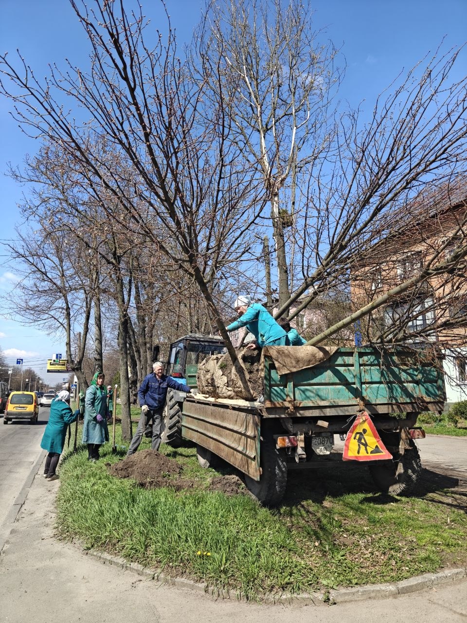 У Вінниці, в межах весняного озеленення, висаджують нові дерева на Хмельницькому шосе