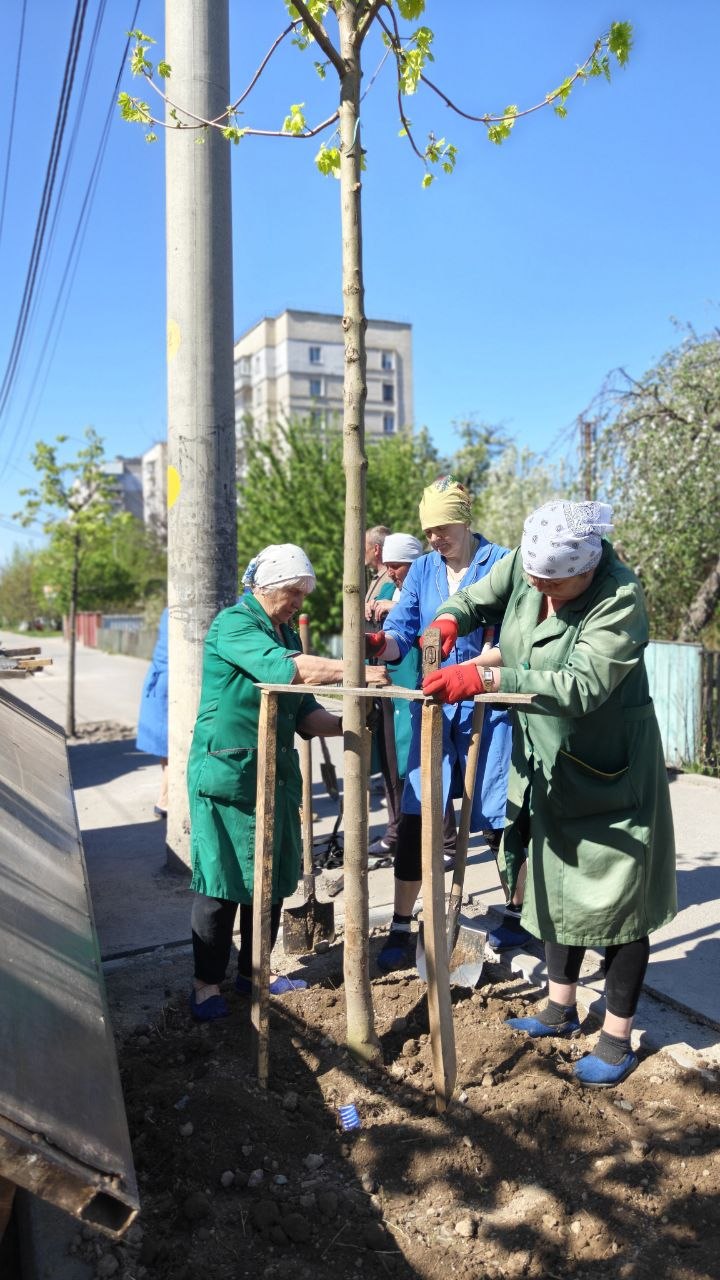 У Вінниці фінішує весняне озеленення: висадили близько 250 саджанців